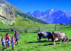 Ferienhaus palman pfunds wandern