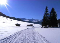 Ferienhaus palman pfunds langlauf