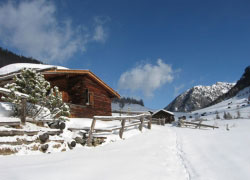 Ferienhaus palman pfunds tschey winter